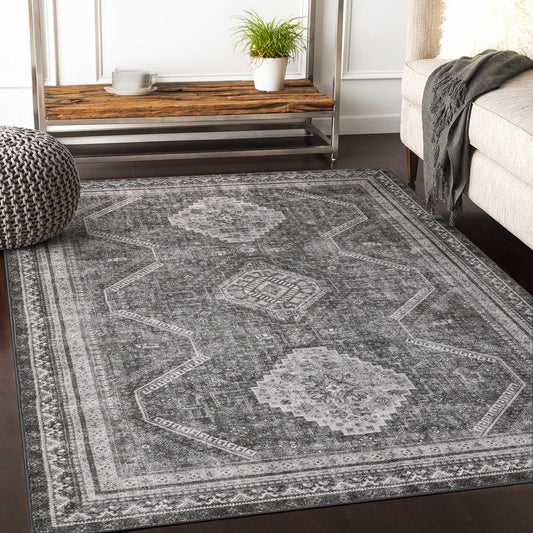 GENIMO Area Rugs, Non Slip Machine Washable Indoor Rug, Low Pile Chenille Print Mat for  for Living Room, Entryway,Hallway, Bedroom, Kitchen and Corridor, Gray