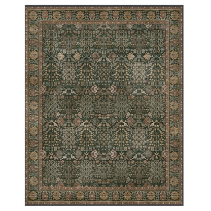 GENIMO Vintage Floral Rug Non-Shedding Distressed Area Rug