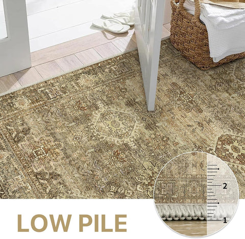 GENIMO Classic Persian Garden Washable Non-Slip Area Rug