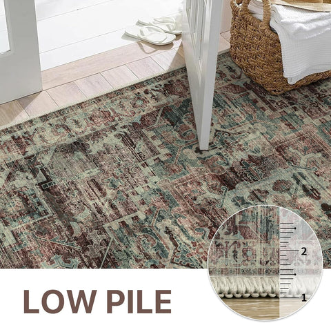 GENIMO Classic Persian Style Printed Low Pile Area Rug
