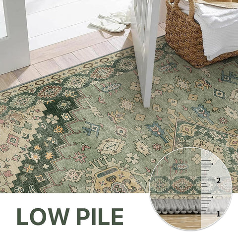 GENIMO Area Rug Washable Low Pile Bohemian Cool Colors