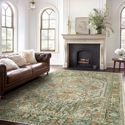 GENIMO Vintage Ethnic Bright Colored Area Rug