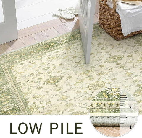 GENIMO Machine Washable Non Slip Artistic Area Rug Light Green