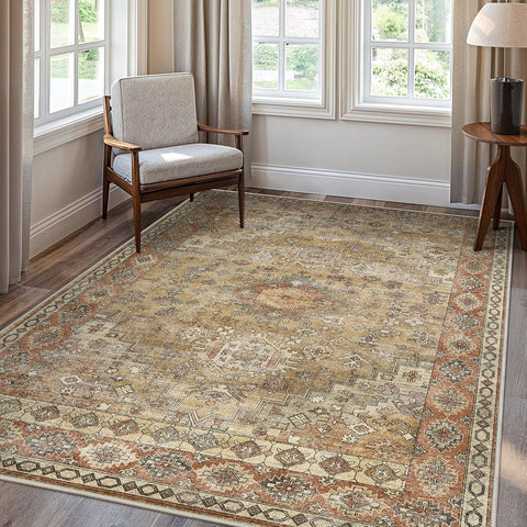 GENIMO Classic Medallion Area Rug Washable Low Pile Durable