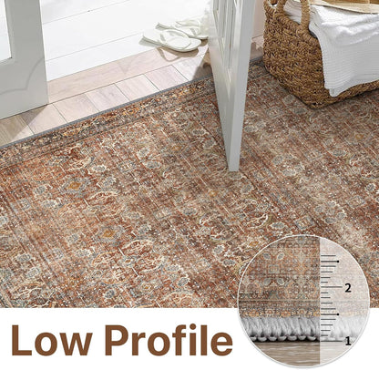 GENIMO Vintage Gorgeous Warm Color Non-Slip Washable Area Rug