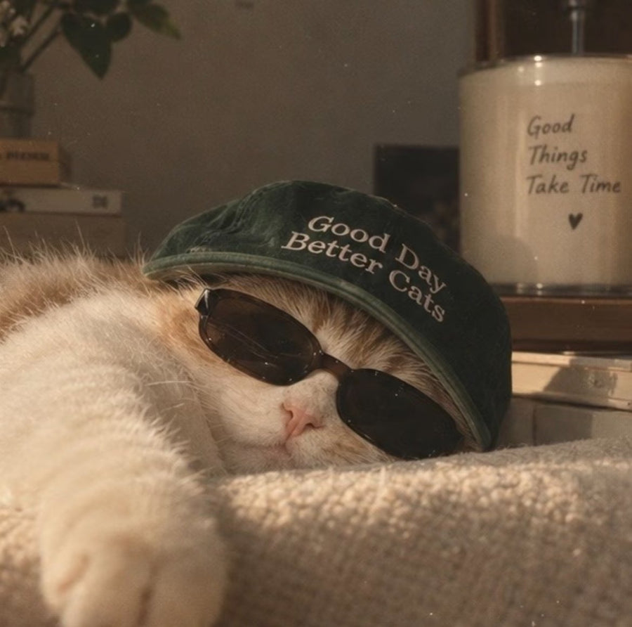 A cat in sunglasses and a green cap stretched out on a cushion